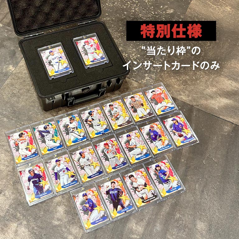 直送】 STARS OF JAPAN インサートカード 全20種コンプリート