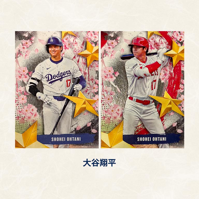 直送】 STARS OF JAPAN インサートカード 全20種コンプリート