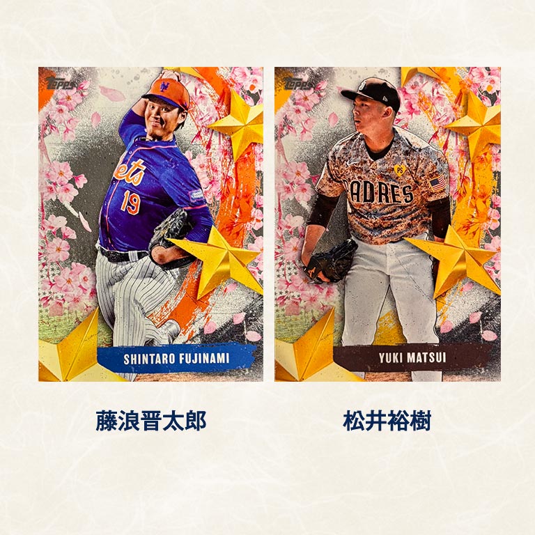 直送】 STARS OF JAPAN インサートカード 全20種コンプリート