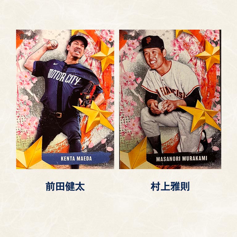 直送】 STARS OF JAPAN インサートカード 全20種コンプリート