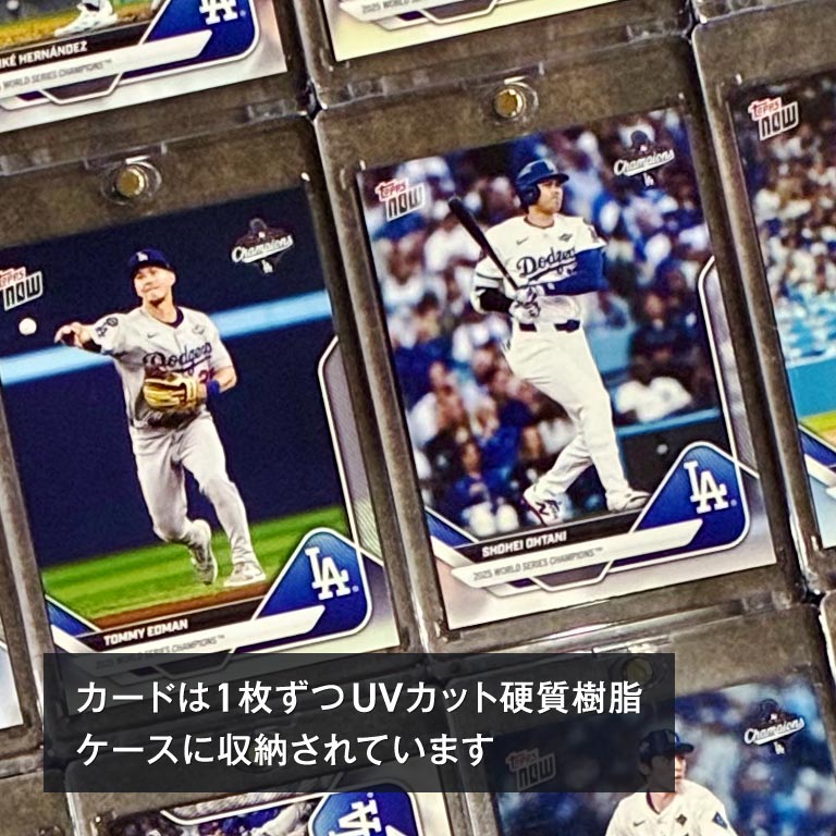 直送】 LAD2024・2025ワールドチャンピオンチームカードセット