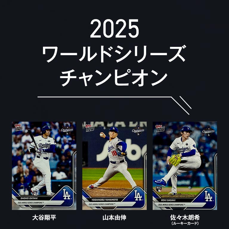 直送】 LAD2024・2025ワールドチャンピオンチームカードセット