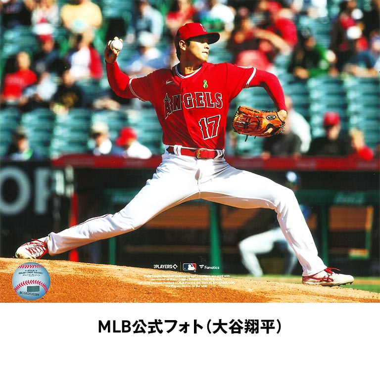 nihonchokuhan(日本直販)通販サイト