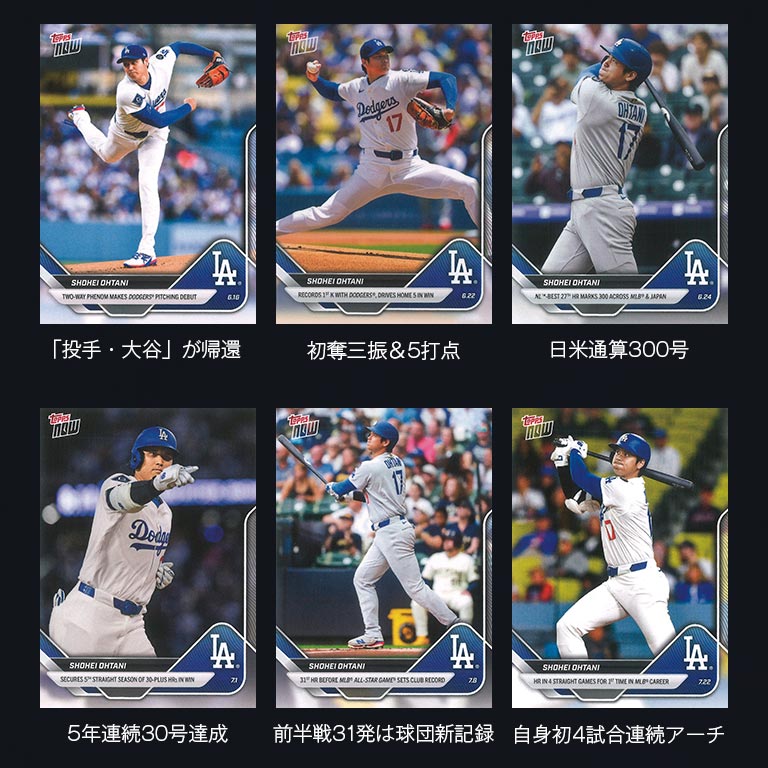 nihonchokuhan(日本直販)通販サイト