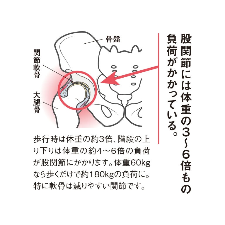 理学療法士が考えた 股関節スパッツ 3枚組【通常】｜nihonchokuhan