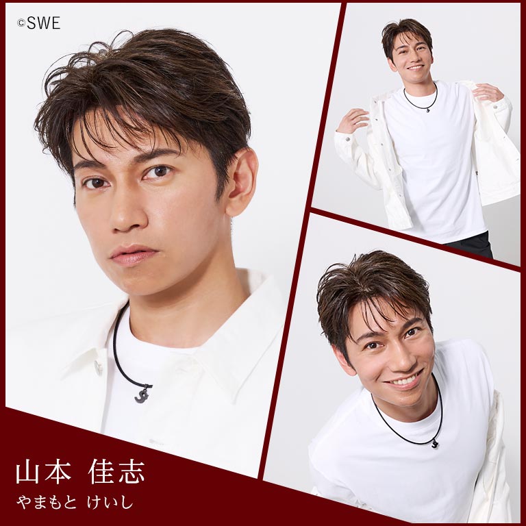 SHOW-WA オリジナル磁気ネックレス｜nihonchokuhan(日本直販)通販サイト