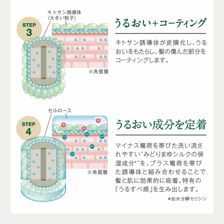 日本直販限定 ココニカル全身シャンプー・スキンヴェール セット