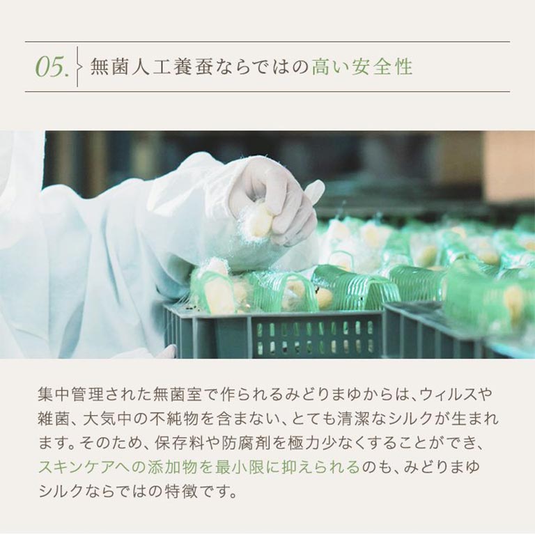 日本直販限定 ココニカル全身シャンプー・スキンヴェール セット