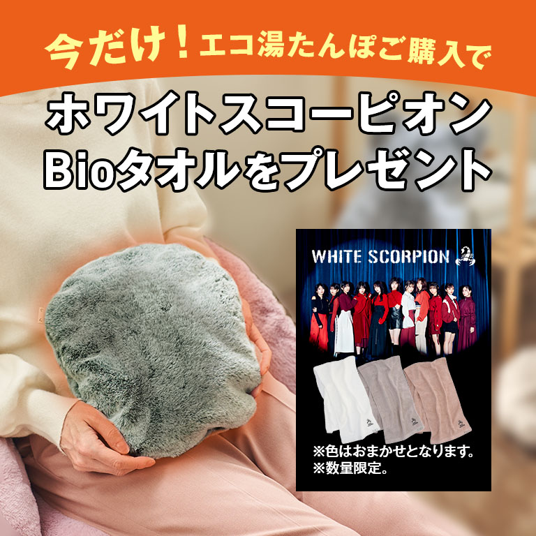 ゆんたん　オプション品 蓄熱充電式エコ湯たんぽ 特典品付 （ホワイトスコーピオン刺繍入りBio