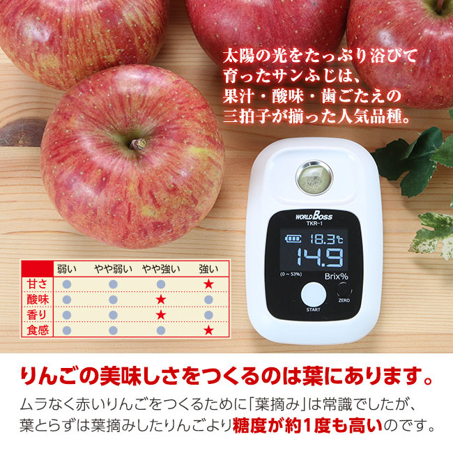 直送】 ゴールド農園直送 葉とらずサンふじりんご 5kg｜nihonchokuhan