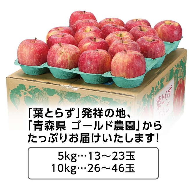 直送】 ゴールド農園直送 葉とらずサンふじりんご 5kg｜nihonchokuhan