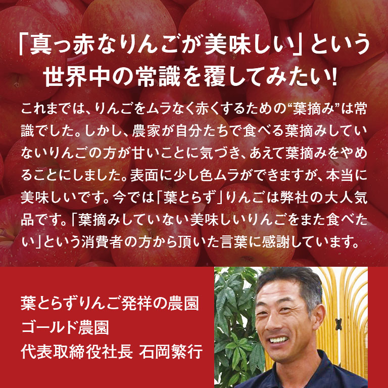 直送】 ゴールド農園直送 葉とらずサンふじりんご 10kg｜nihonchokuhan