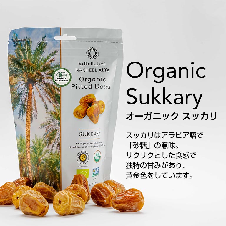 ナツメヤシ10本セット