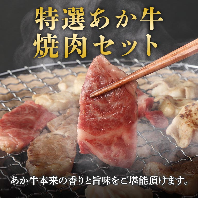 直送】 日本直販オリジナル 熊本あか牛 ハンバーグ・焼肉2種セット