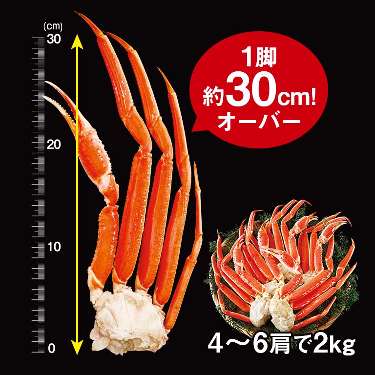 直送】 太い！3Lサイズ本ズワイ脚肉ボリュームセット 1セット 2kg