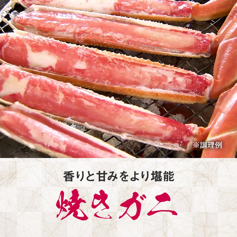 直送】 太い！3Lサイズ本ズワイ脚肉ボリュームセット 1セット 2kg