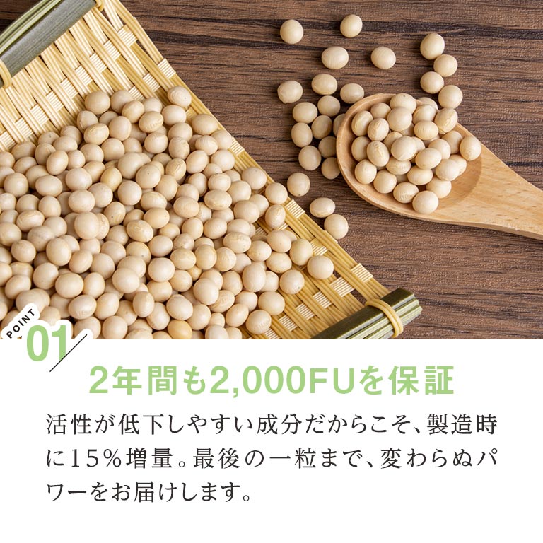 定期】 納豆博士｜nihonchokuhan(日本直販)通販サイト