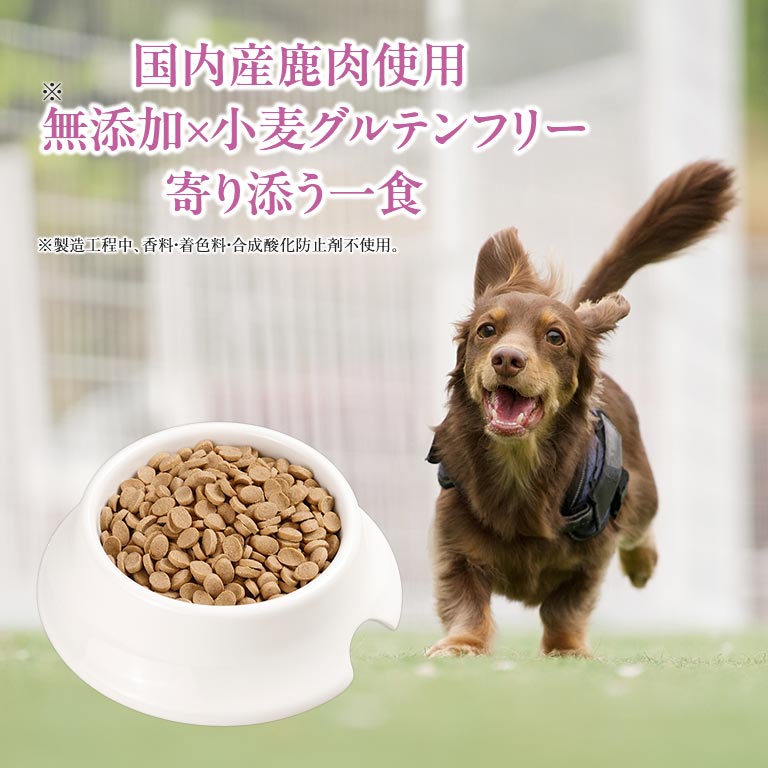 犬ごはん 犬の雑穀ごはん プレミアム鹿肉 （オールステージ） 【通常