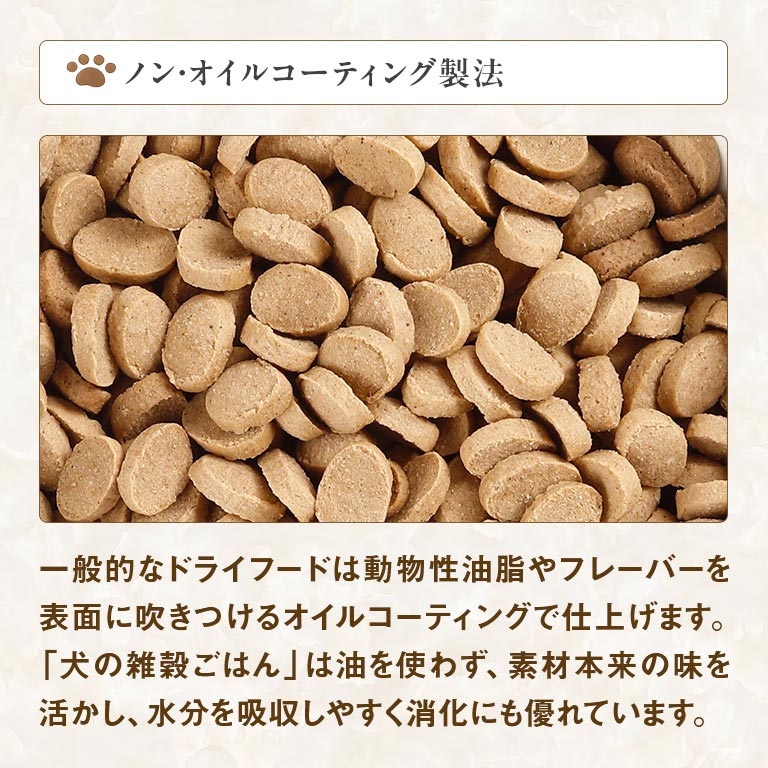 犬の雑穀ごはん プレミアム鹿肉 （オールステージ） 【通常