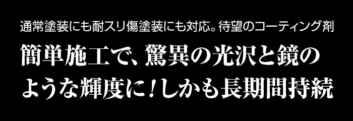 高密度ガラス繊維系ポリマー ブリスｔｙｐｅＲＳ【通常】｜新聞・カタログ通販「悠遊ショップ」