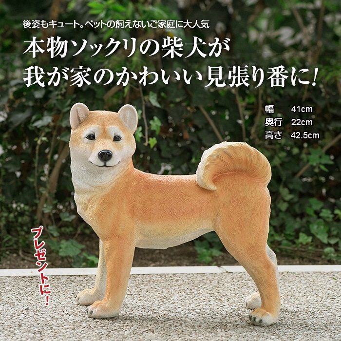 楽天市場 本物そっくりアニマル 柴犬 アニマル オブジェ ガーデン 置物 動物 犬 オーナメント 送料無料 悠遊ショップ