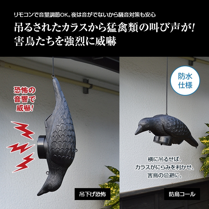 鳥よけ 叫ぶカラス 通常 新聞 カタログ通販 悠遊ショップ