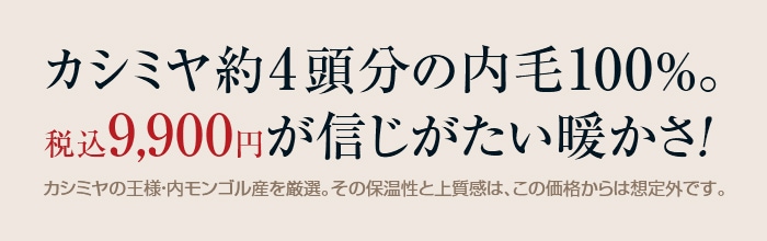 カシミヤ１００％紳士用ニットベスト【通常】｜新聞・カタログ通販