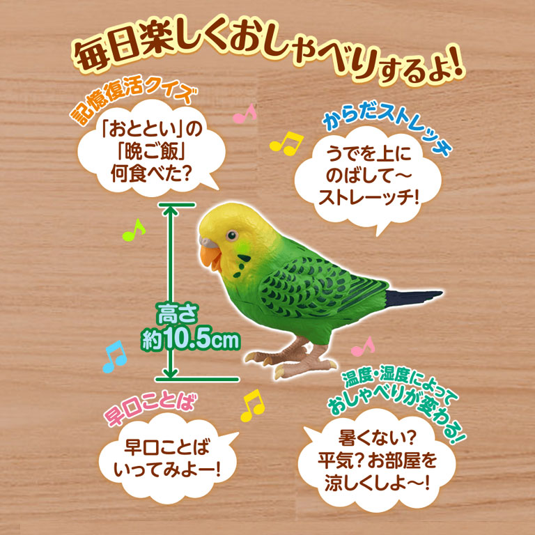 毎日おしゃべり「天才インコちゃん」【通常】｜新聞・カタログ通販 ...