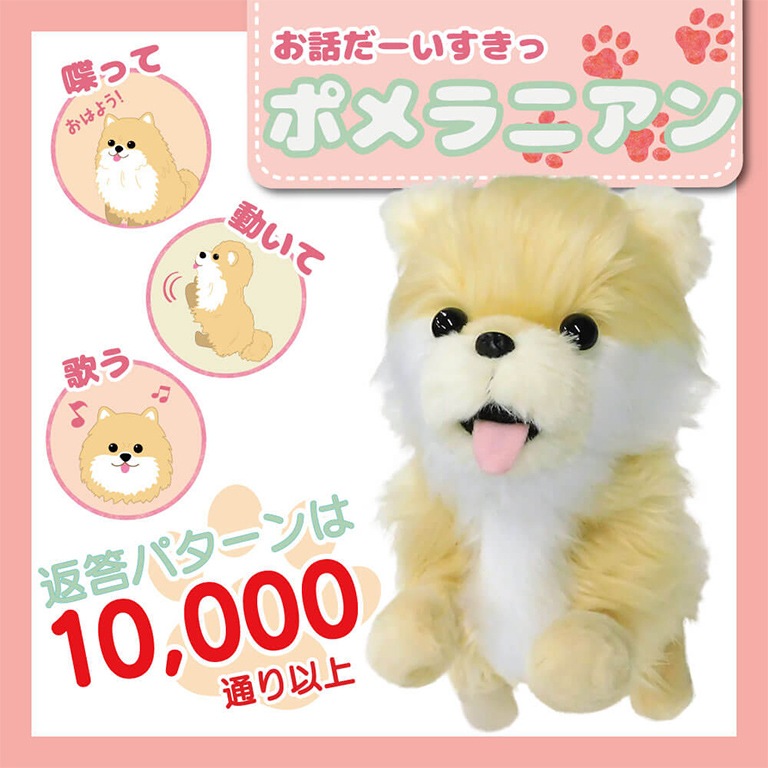 お話し大好き 元気いっぱい踊るペット犬 ポメラニアン 通常 新聞 カタログ通販 悠遊ショップ お話し大好き 元気いっぱい踊るペット犬 ポメラニアン 通常 新聞 カタログ通販 悠遊ショップ