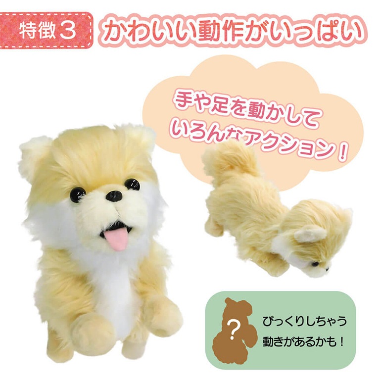 お話し大好き 元気いっぱい踊るペット犬 ポメラニアン 通常 新聞 カタログ通販 悠遊ショップ