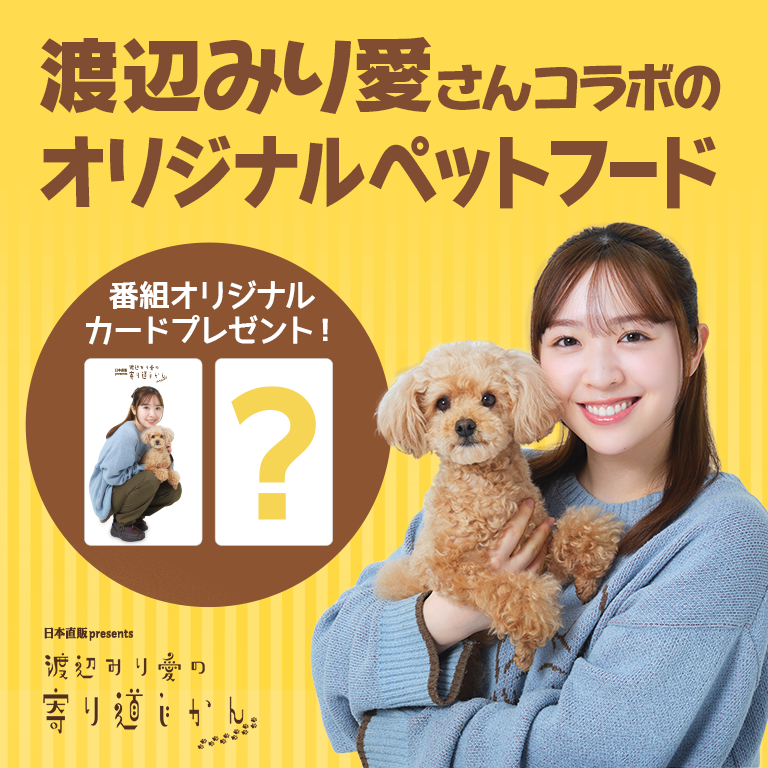 犬の雑穀ごはん 渡辺みり愛のうちの子しあわせごはん