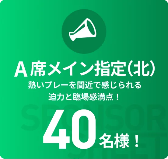 スポンサー席 特別な座席で試合を観戦！ 40名様