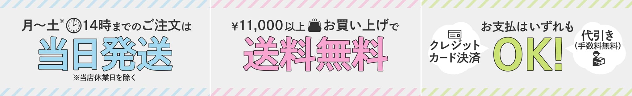 当日配送、送料無料金額、決済手段について