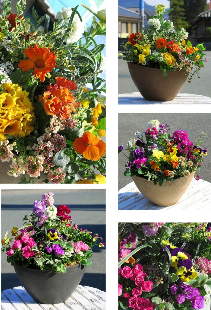 ありきたりな寄せ植えに満足できない方へ [花うるる 季節のオーダー