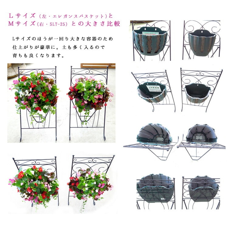 Lサイズ] ペチュニアのハンギング 寄せ植え [ピンク オパール] 春から