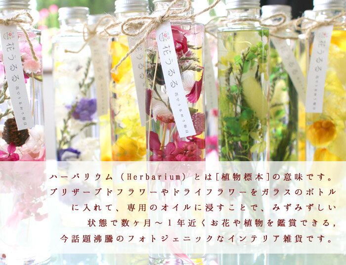 即日発送OK／プレゼント 【高級ギフトボックス入り5本セット】花うるる