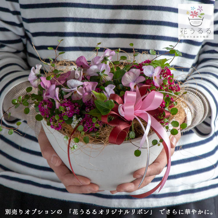 育てるフラワーギフト [花うるるのお試しギャザリング寄せ植え] 【テラ