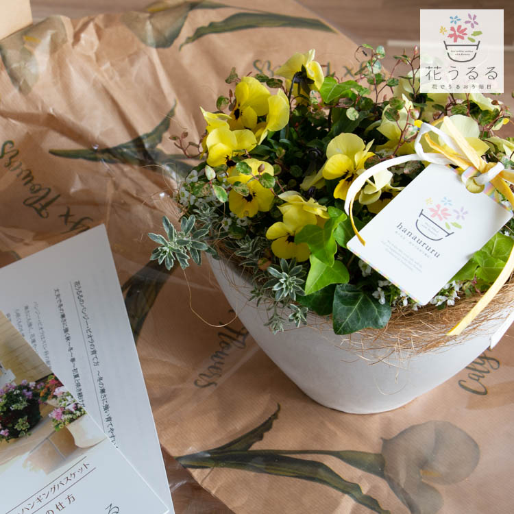 育てるフラワーギフト「花うるるのお試しギャザリング寄せ植えinテラ