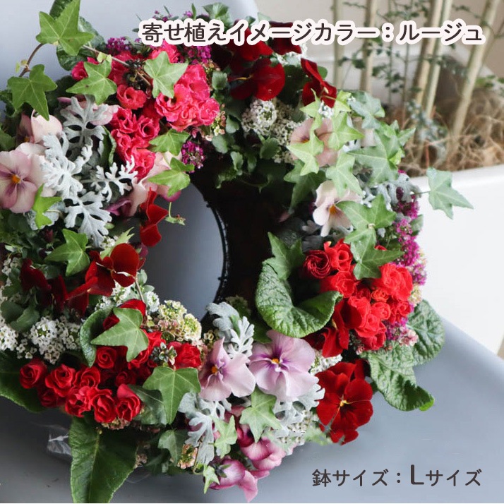 花うるる おまかせ／「季節の寄せ植えinアレンジリースLサイズ