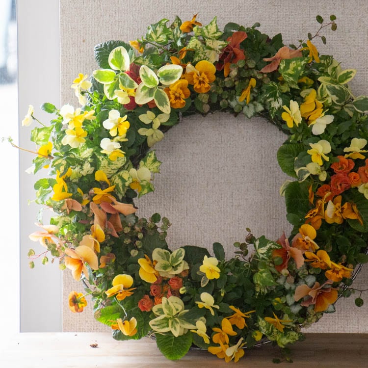 花うるる おまかせ／「季節の寄せ植えinアレンジリースLLサイズ