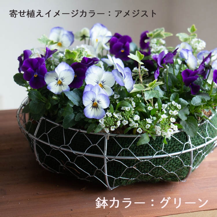 花うるる おまかせ／「季節の寄せ植えinシンプルリースMサイズ
