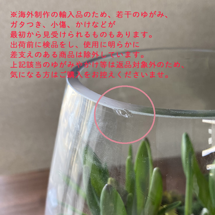 水耕栽培キット 芽出し球根おまかせmix ガラス付き「ラウンド グラス L