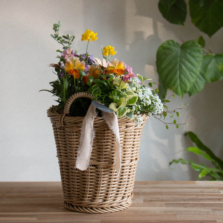 花うるる おまかせ／「季節の寄せ植えinジェミニバスケット シリンダ