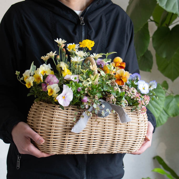 花うるるアレンジ寄せ植え「ジェミニバスケット レク」おまかせ