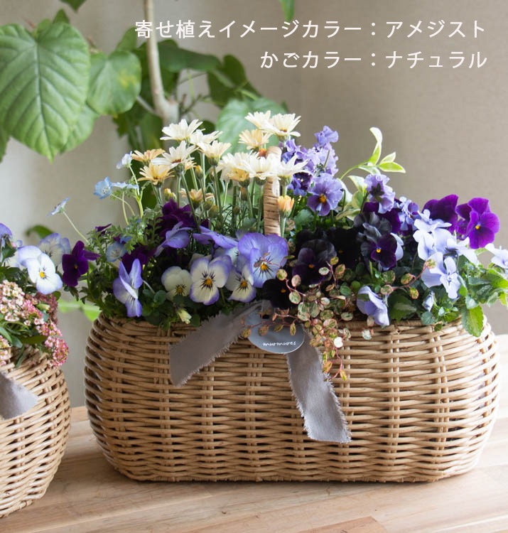 花うるるアレンジ寄せ植え「ジェミニバスケット レク」おまかせ