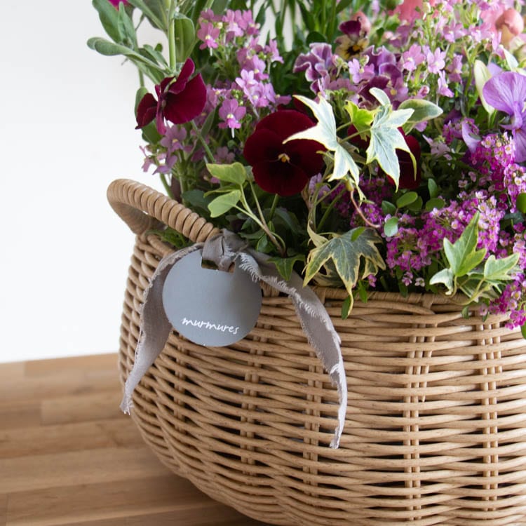 花うるるアレンジ寄せ植え「ジェミニバスケット ロウ(Lサイズ