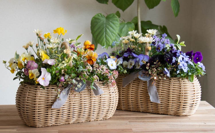 花うるる おまかせ／「季節の寄せ植えinジェミニバスケット レク