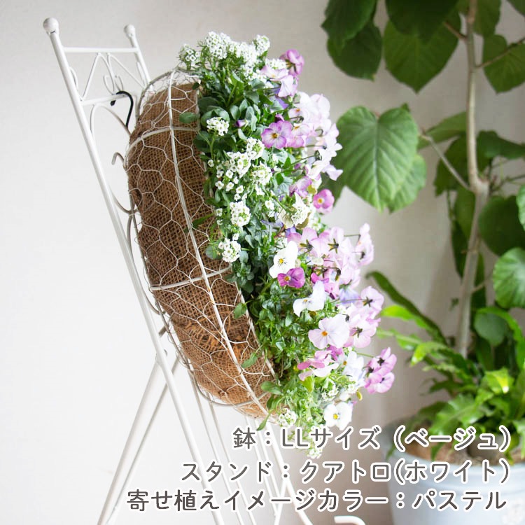 花うるる リース 寄せ植え [シンプル LLサイズ]おまかせ&オーダー