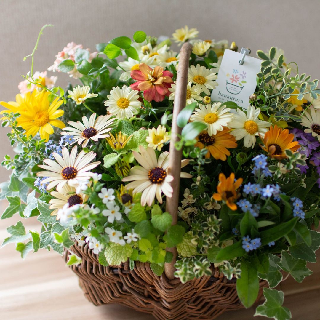 オーダー可能・送料無料】花うるるアレンジ「かご型ギャザリング寄せ