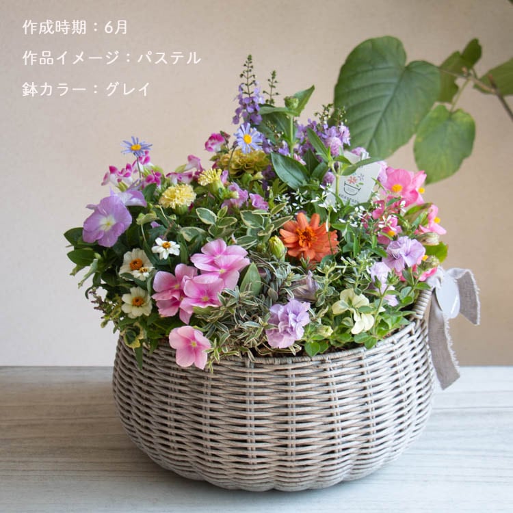 花 mille カードガチャ フォーティーン・アニバーサリー ｜ Z/X - Zillions of